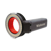 360 Luz verdadera
